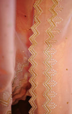 Coral Mirage – Coral Pink Shimmer Georgette Saree