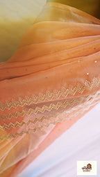 Coral Mirage – Coral Pink Shimmer Georgette Saree