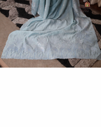 Silver Tide – Seafoam Blue Mulchanderi Saree